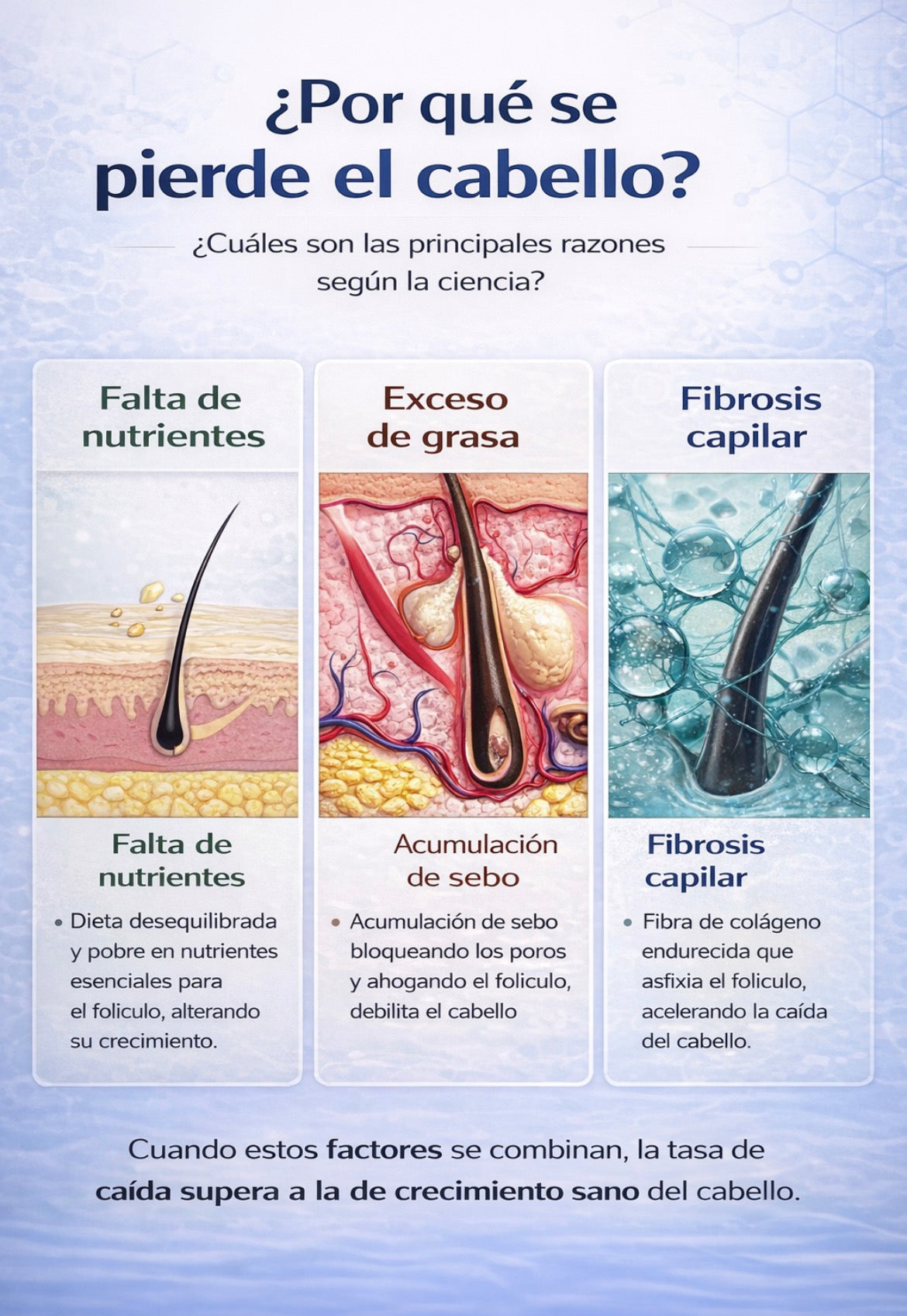 Eastmoon Lab Serum Capilar Dermatológico – Fortalecimiento y Densidad Capilar